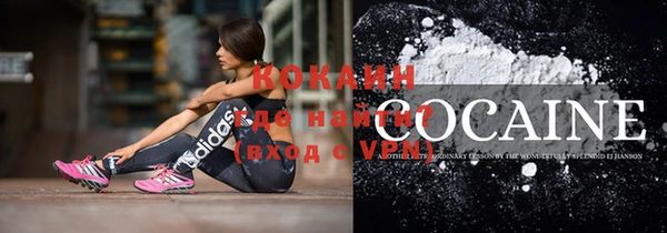 прущие грибы Балахна