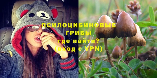 jwh Белокуриха