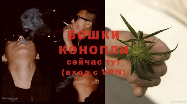 прущие грибы Балахна