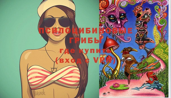 индика Наволоки