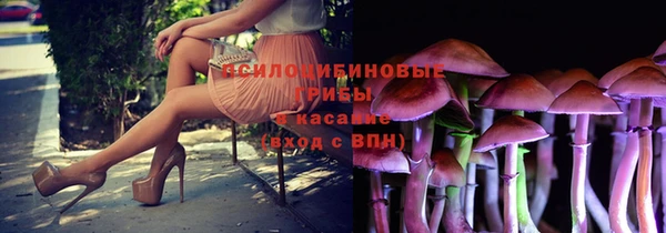 jwh Белокуриха
